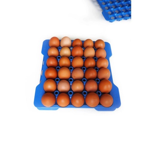 ΣΕΤ 4τεμ. ΔΙΣΚΩΝ ΑΠΟΘΕΥΣΗΣ 30 ΑΥΓΩΝ GN 2/3 290x290x40mm 73056 - ARAVEN ΣΕΤ 4τεμ. ΔΙΣΚΩΝ ΑΠΟΘΕΥΣΗΣ 30 ΑΥΓΩΝ GN 2/3 290x290x40mm 73056 - ARAVEN