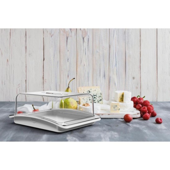 ΤΥΡΙΕΡΑ 30x20x11.5cm CLASSICA OK056 - BIESSE