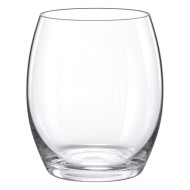 ΠΟΤΗΡΙ ΝΕΡΟΥ/ΧΥΜΟΥ RATIO 35cl - RONA