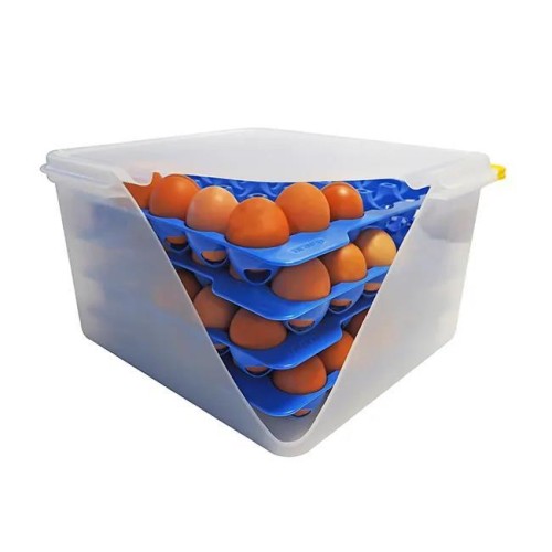 ΔΟΧΕΙΟ ΑΠΟΘΗΚΕΥΣΗΣ ΑΥΓΩΝ 4 ΔΙΣΚΟΙGN 2/3 70378 354x325x200mm - ARAVEN ΔΟΧΕΙΟ ΑΠΟΘΗΚΕΥΣΗΣ ΑΥΓΩΝ 4 ΔΙΣΚΟΙGN 2/3 70378 354x325x200mm - ARAVEN